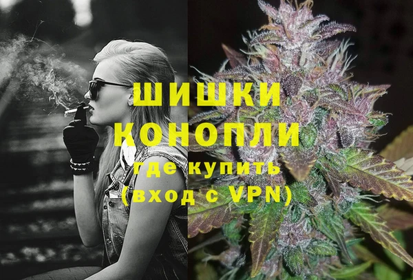 шишки Бронницы