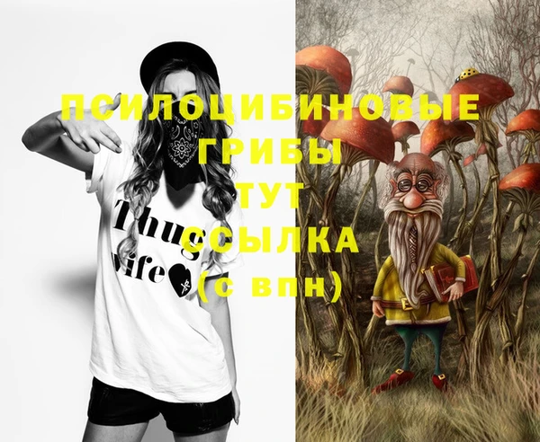 jwh Рославль