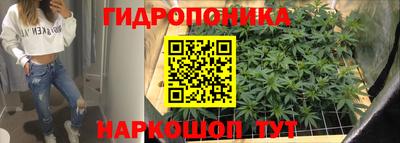 крисы Гусев