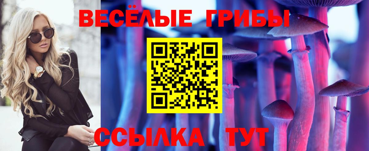 Псилоцибиновые грибы GOLDEN TEACHER Усолье-Сибирское